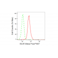 KD-Validated DLAT Rabbit mAb (20 μl)