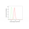 KD-Validated DLAT Rabbit mAb (20 μl)