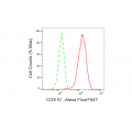 KD-Validated COXIV Rabbit mAb (20 μl)