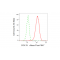 KD-Validated COXIV Rabbit mAb (20 μl)