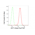 KD-Validated AKT1 Rabbit mAb (20 μl)
