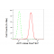 KD-Validated AKT1 Rabbit mAb (20 μl)