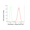 KD-Validated Fibronectin 1 Rabbit mAb (20 μl)