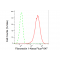 KD-Validated Fibronectin 1 Rabbit mAb (20 μl)
