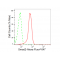 KD-Validated Smad2 Rabbit mAb (20 μl)
