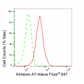 KD-Validated ANX7 Rabbit mAb (20 μl)