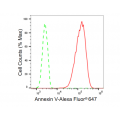 KD-Validated ANX5 Rabbit mAb (20 μl)