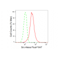 KD-Validated Src Rabbit mAb (20 μl)
