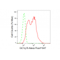 KD-Validated GC1q R Rabbit mAb (20 μl)