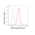 KD-Validated CRKII Rabbit mAb (20 μl)