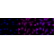 KD-Validated PKACA Rabbit mAb (20 μl)
