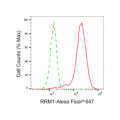 KD-Validated RRM1 Rabbit mAb (20 μl)