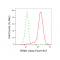 KD-Validated RRM1 Rabbit mAb (20 μl)