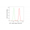 KD-Validated HIF1β Rabbit mAb (20 μl)