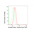 KD-Validated ARRB1 Rabbit mAb (20 μl)