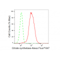 KD-Validated Citrate Synthetase Rabbit mAb (20 μl)