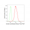 KD-Validated Citrate Synthetase Rabbit mAb (20 μl)