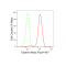 KD-Validated Tuberin Rabbit mAb (20 μl)