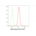 KD-Validated Stat3 Rabbit mAb (20 μl)