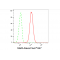 KD-Validated Stat3 Rabbit mAb (20 μl)