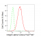 KD-Validated CD49e Rabbit mAb (20 μl)