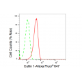 LifeSab™ KD-Validated CUL1 Rabbit mAb (20 μl)