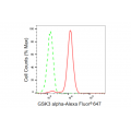 KD-Validated GSK3A Rabbit mAb (20 μl)