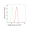 KD-Validated NUMB Rabbit mAb (20 μl)
