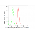 LifeSab™ KD-Validated GSS Rabbit mAb (20 μl)