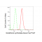 KD-Validated GSS Rabbit mAb (20 μl)