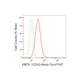 KD-Validated KMT6 Rabbit mAb (20 μl)