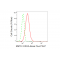 KD-Validated KMT6 Rabbit mAb (20 μl)