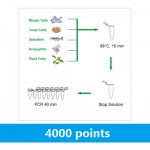 LiDirect™ Mouse Genotyping Kit (80 rxns)