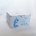 Rat Albumin (ALB) ELISA Kit (48T)