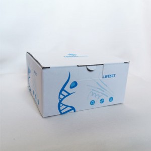 Human Arylsulfatase A (ARSA) ELISA Kit (96T)