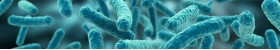 Metagenomics Sequencing