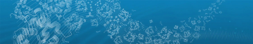 IntactProtein™ Cell-Tissue Lysis Kit