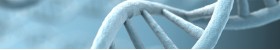 LiScript™ One Step RT-PCR Kit