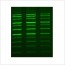 LiGreen™ Plus Nucleic Acid Gel Stain (50..