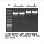 2× LiTaq™ SuFi PCR Master Mix (1 ml)