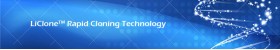 Fast Mutagenesis Kits