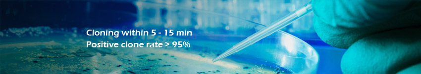 LiClone™ Fast Cloning Kits