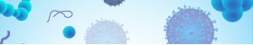 Transfection Reagents