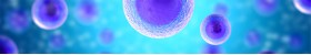 Mammalian Cell Protein Expression