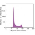 Cell Cycle Green Stain (100 rxn)