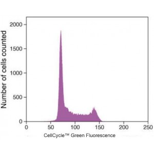 Cell Cycle Green Stain (100 rxn)