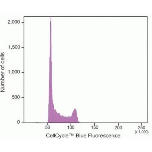 Cell Cycle Blue Stain (100 rxn)