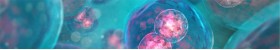 Lentiviral Reagents