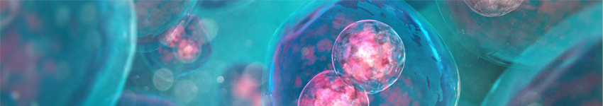 Lentiviral Reagents