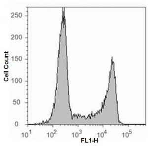 LiFluor™ 647 EdU Flow Cytometry Assay Kit (50 rxn)